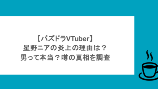 【パズドラVTuber】星野ニアの炎上の理由は？男って本当？噂の真相を調査